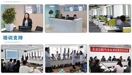 美國福祿克F319交直流數(shù)字鉗表 技術(shù)解析、選購指南與應(yīng)用場景