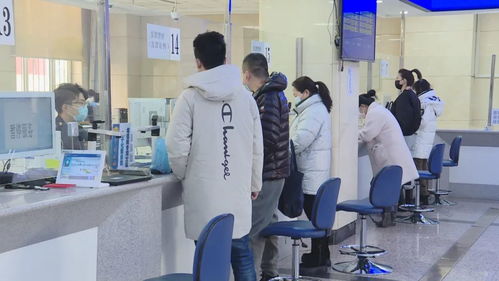 黑龍江 稅務(wù)服務(wù)推 三化 營商環(huán)境有變化